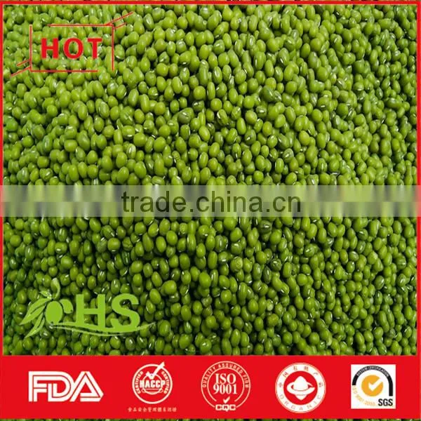High Quality Green Mung Bean for Sale photo-6