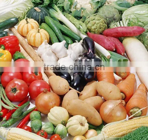 Fresh Vegetable