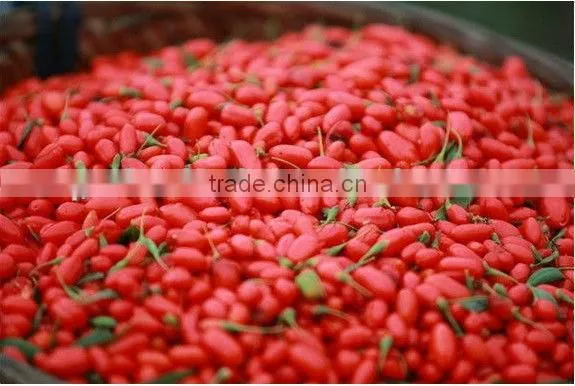 2016 China Natural Red Goji Berry Customized Package photo-2