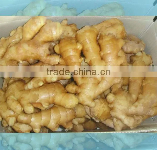 Organic Fresh Ginger photo-3