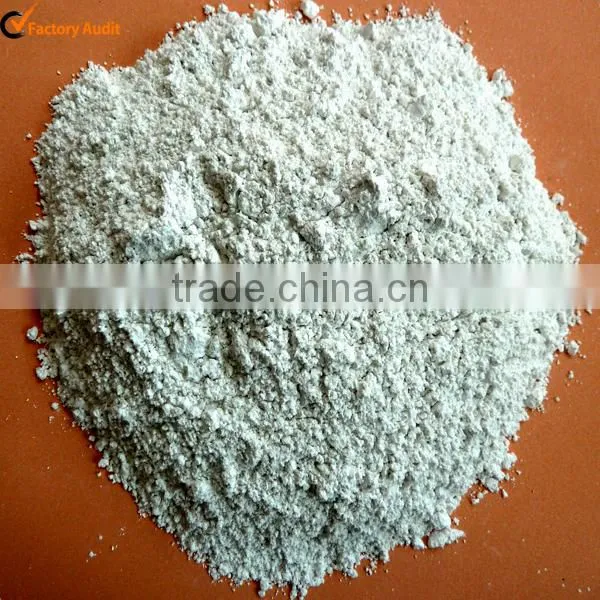 Mineral Diatomite
