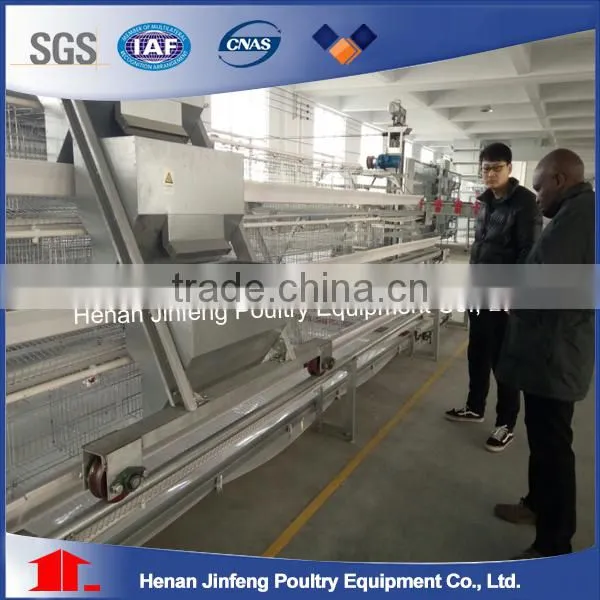 Egg Collecting System High Quality Automatic Poultry Layer Cages/Design Layer Chicken Cages/layer Chicken Battery Cage