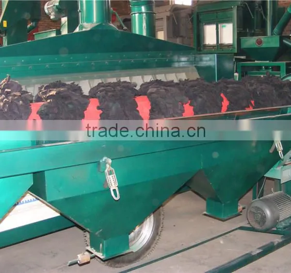 Red Kidney Bean Polishing Machine photo-4