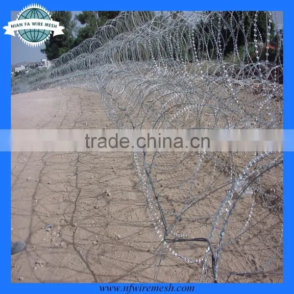 Razor Barbed Wire Galvanized (factory) photo-3