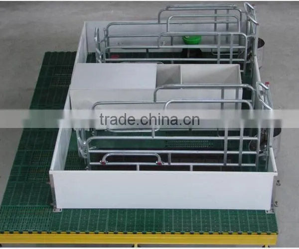 European Gestation Crate