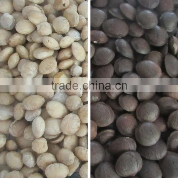 Automatic Ccd Color Sorter for Cashew Nut/apricot Kernels/walnut photo-6