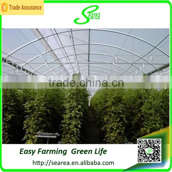 Low Cost Greenhouses Used Greenhouse photo-5