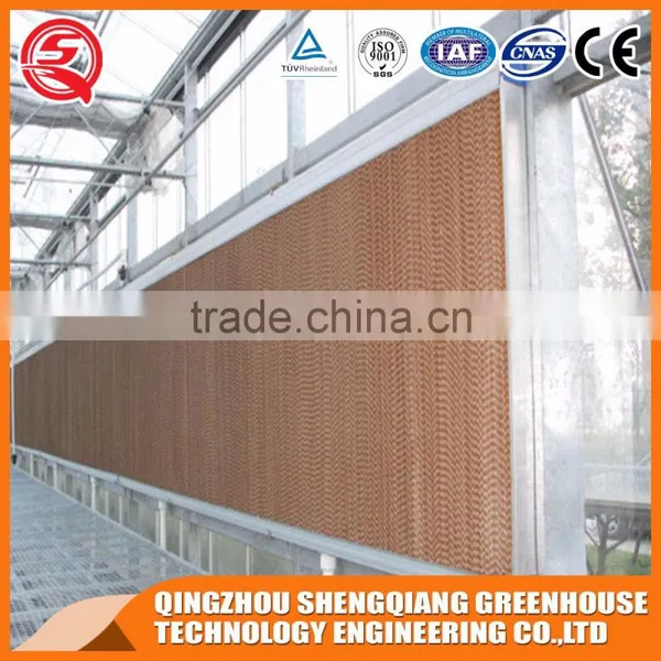 Solar Glass Greenhouse With Cooling System Made in China photo-5