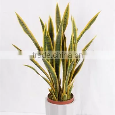 Factory Wholesale Fake Sanseviera Plant/agave Bonsai Plant Tree photo-4