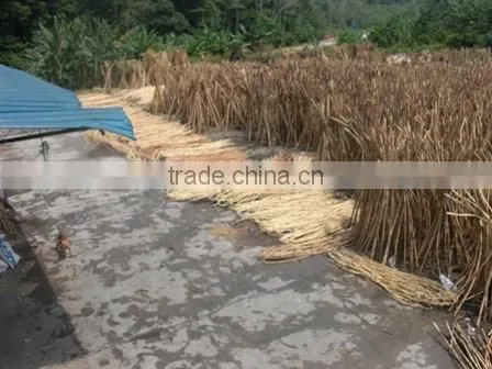 Raw Rattan Cane Mix photo-2