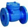 (DIN) Cast Iron Check Valve