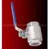 Stainless Steel Swing Check Valve photo-3