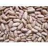 Sell Light Speckled Kidney Beans