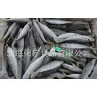 Frozen Blue Scad Whole Round