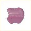 Spy Camera>>mini Apple Type Mp3 Player Built in 1.3mega Camera MINI Dvr MP3