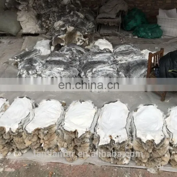 Online Wholesale Shop Rabbit Fur Skins and Rabbit Skins for Plate, for Garment photo-2