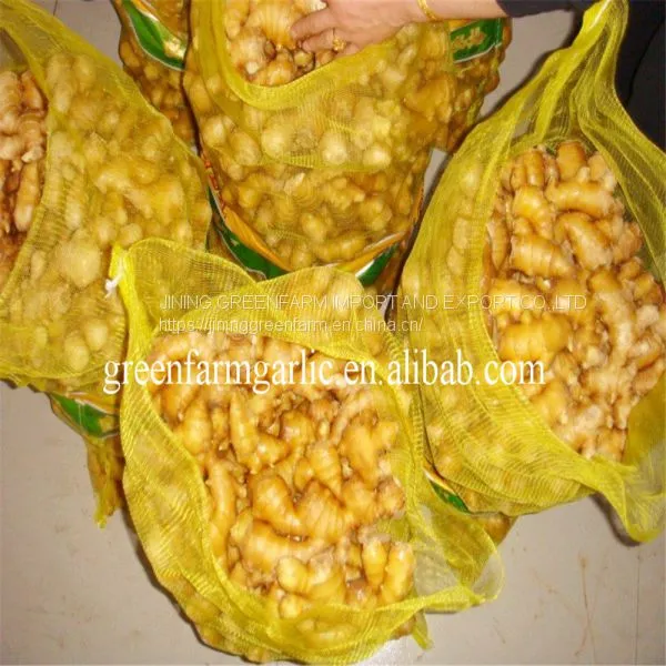 Jining Greenfarm Fresh Yellow Ginger photo-2