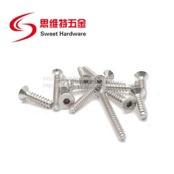 Countersunk Head Socket Screw A2 A4 Stainless Steel Blunt Tip Tapping Screw With Competitive Price photo-2