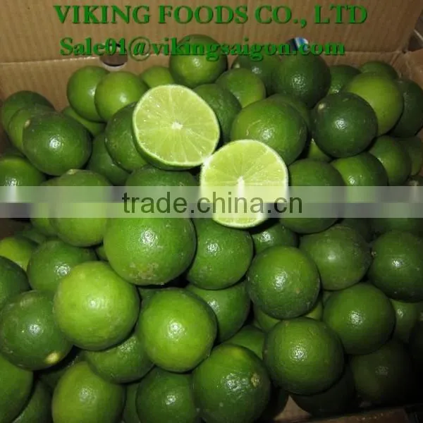 FROZEN SEEDLESS LIME _ HIGHT QUALITY _ GOOD PRICE photo-2