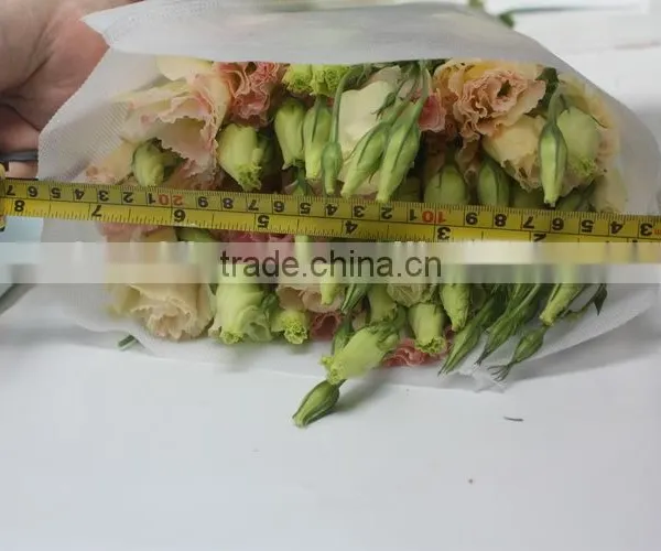 Fresh Top Sell Wholesale Fresh Lisianthus Flower photo-2