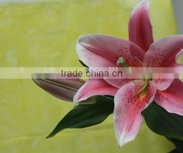 Most Popular Best Selling Lilies Real Touch photo-2