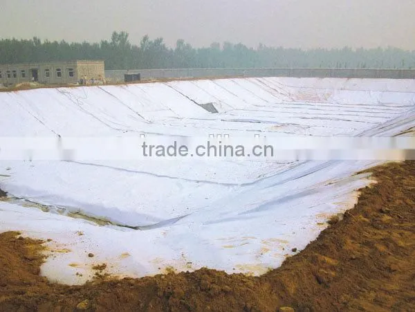 Geocomposite/compound Geomembrane/geotextile Membrane photo-6