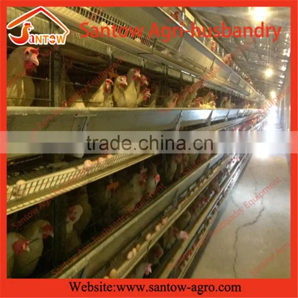 Stable Steel Structure Professional Chicken Egg Layer Cage Egg Layer House Design photo-3