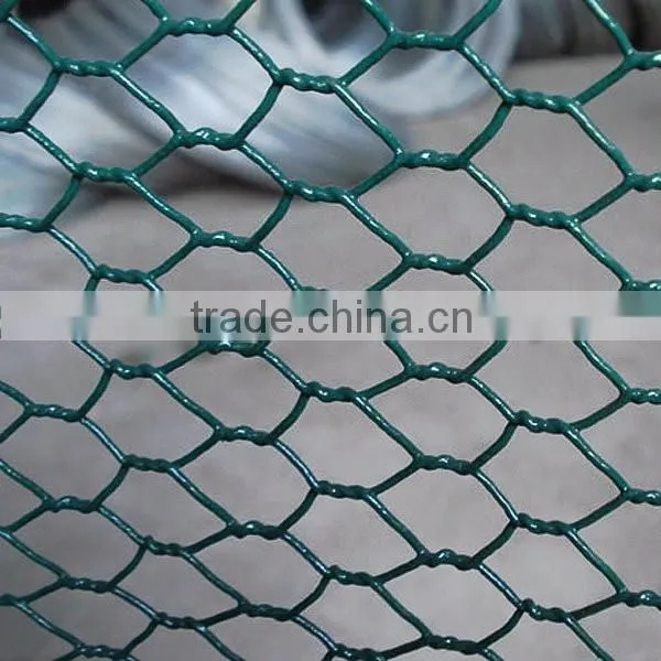 Best Quality Bird Cage Chicken Wire Mesh photo-3
