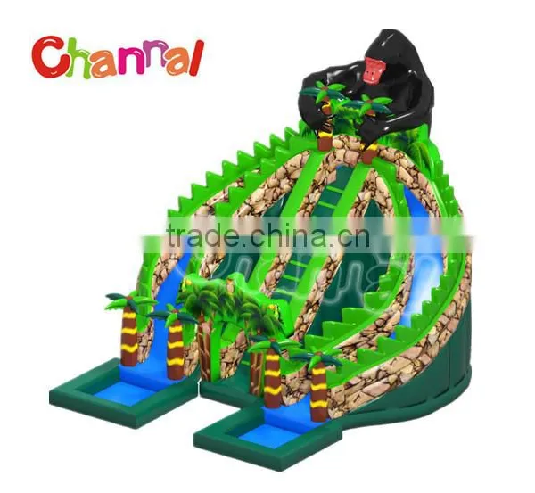 Hot Selling Channal Crazy Inflatable Slide Commercial Inflatables Slide for Sale Supplier's Choice photo-2