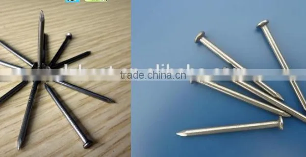 Round Head Nail Polished Nail Iron Nail Wire Nails Common Nails