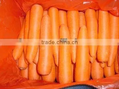 Dehydrated Carrot