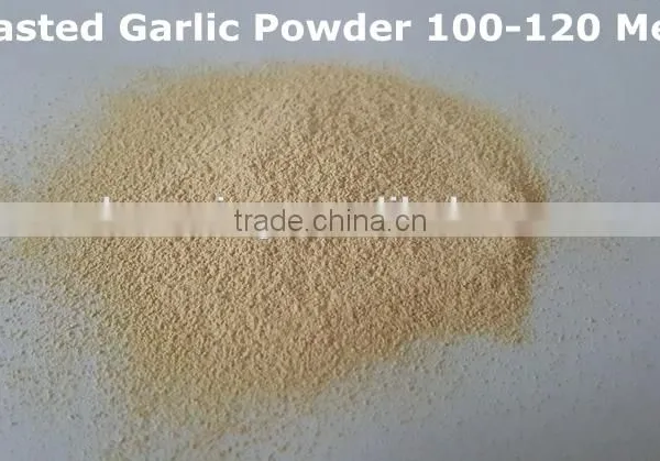 Roasted Garlic Powder From Factory Directly photo-2