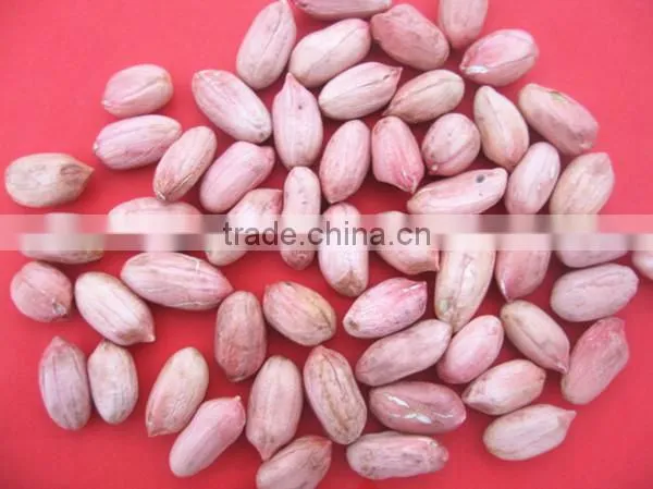 Manufacture Factory of Peanut in Hell and Dried Peanut photo-6