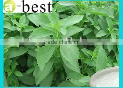 Stevioside Pure Powder 95% photo-6