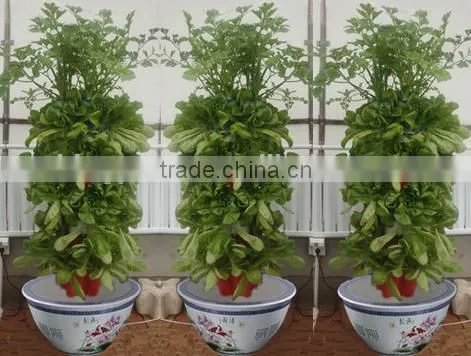Family Gardening Service and Products photo-2