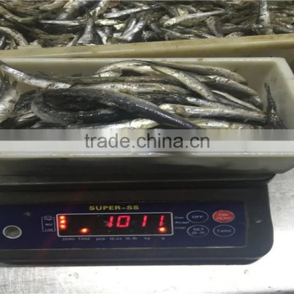 2016 High Quality Sea Frozen Anchovy photo-3