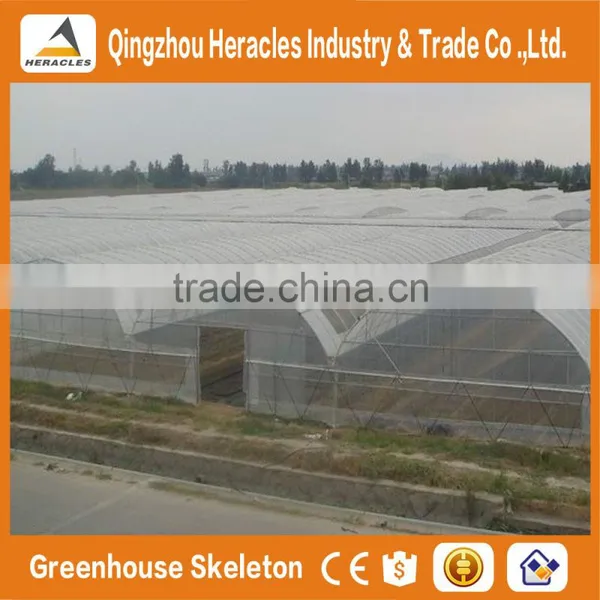 Heracles China Factory Direct Multi Span Green Houses ForAgriculture With Plastic Film on Best Price photo-5