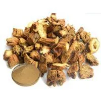Padix Codonopsis Extract Plant Extract Factory