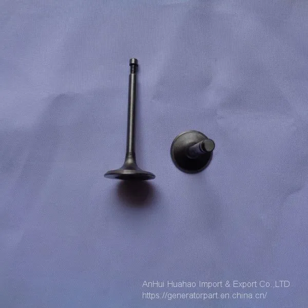 High Quality 5KVA 188F GX390 Generator Intake and Exhaust Valve Spare Parts photo-3