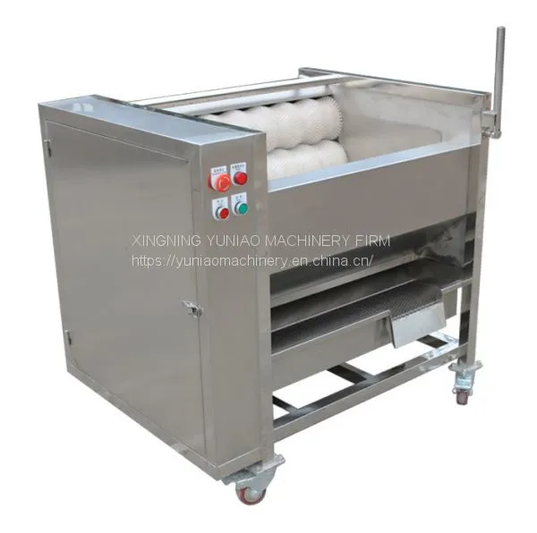 China Vegetable Washing Polishing Equipment Potato Processing Machine Manufacturer #Ghana WT/8613824555378 photo-3