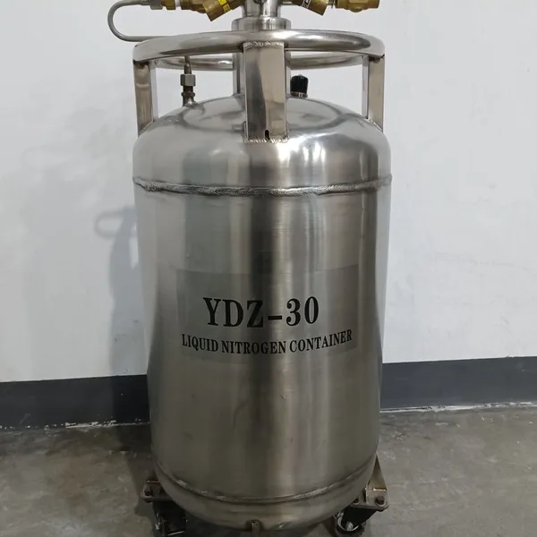Stainless Steel Liquid Nitrogen Tank YDZ-30 Manufacturer Wholesale Price Discount photo-4