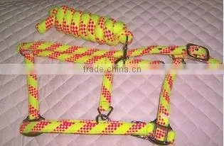 Dual Colour Tape Halter