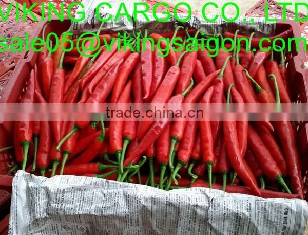 FRESH SMALL CHILI photo-5