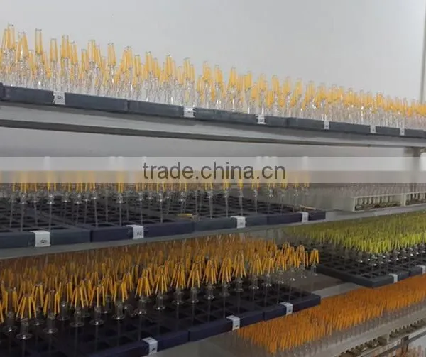 E14 C35 Candle Led Filament Bulb/E27 Filament LED Globe/C37/C35 Filament Led Bulb photo-5