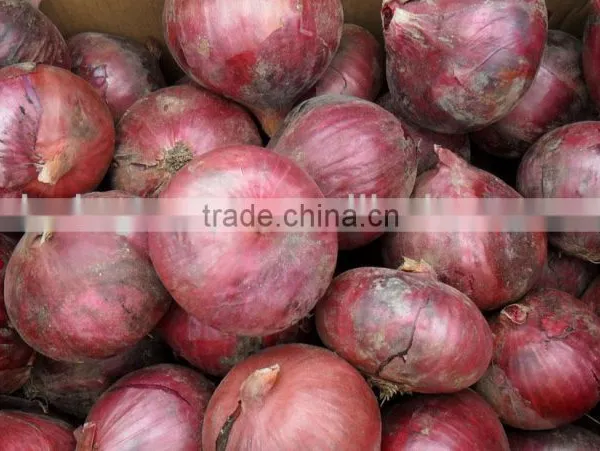 2014 Fresh Red Onion China Wholesale photo-2