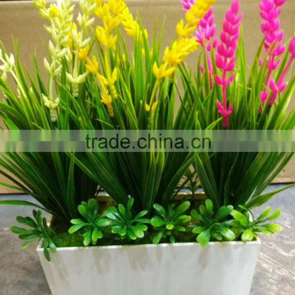 Home Decoration Use NEW Mini Novel Ceramic Porcelain Bonsai Grass Doll Hair Plant Head Planter Gift photo-6