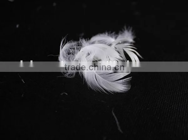 Factory Price 2-4cm Washed White Goose Feather fo Selling photo-2