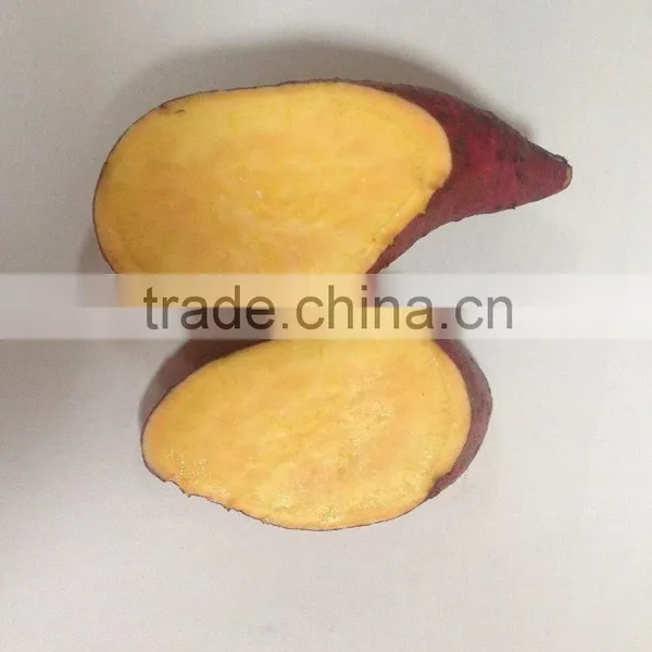 Sweet Potato Fresh Harvest Good Taste Sweet Potato photo-2