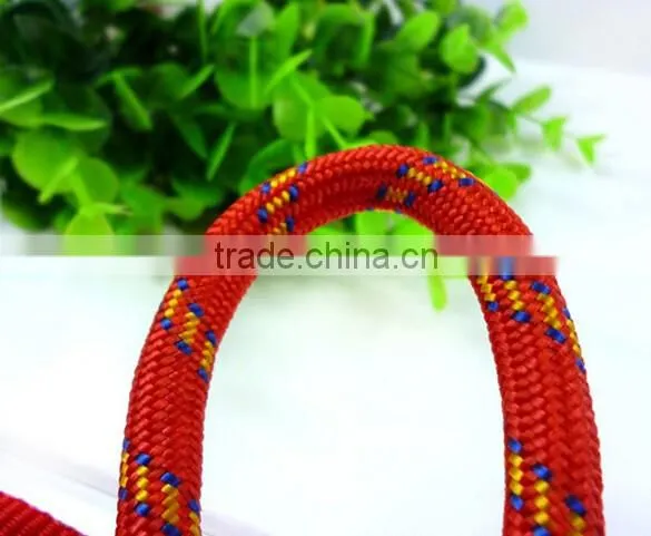 Wholesale Double Colors Styles Round Rope Fiber High Quality Strong Dog Pet Leashes photo-3