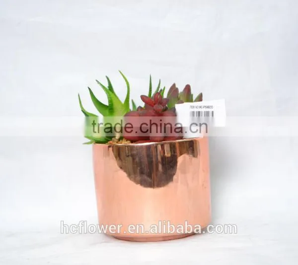 Modern Artificial Succulent Plant for Home and Office Decoration